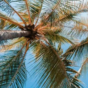  Сasa de vacaciones Casa Rustica